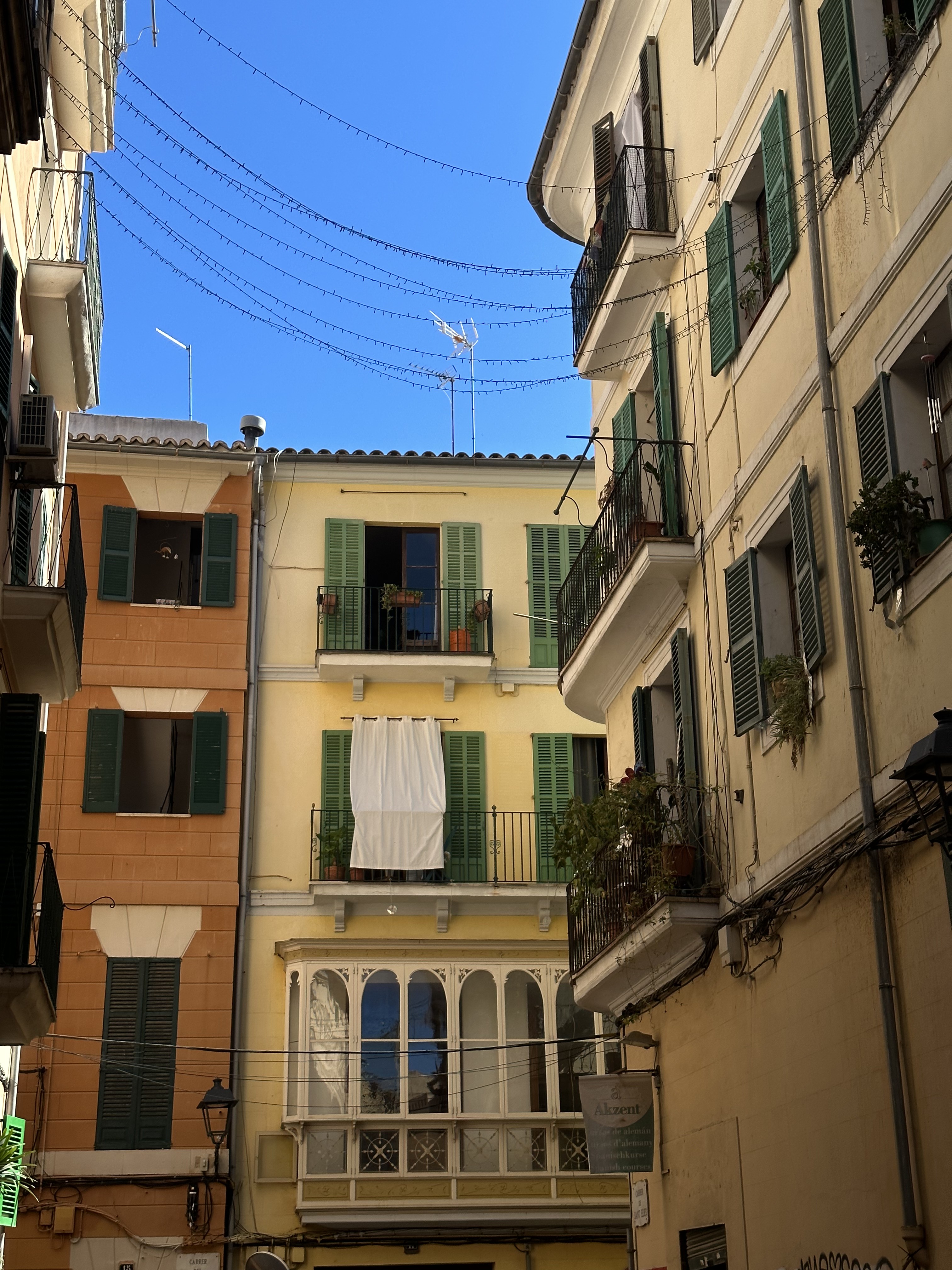 The Palma Pulse